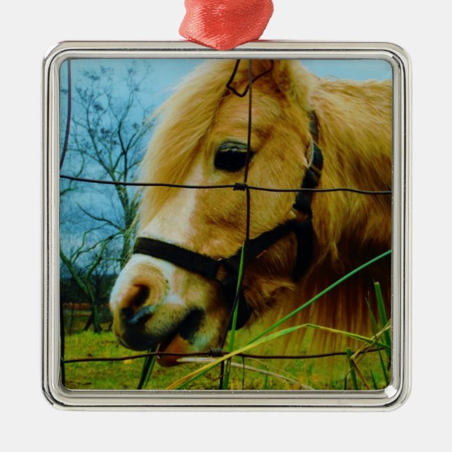 Ornement Carré Argenté Pony miniature blond / Cheval Ciel bleu (Devant)