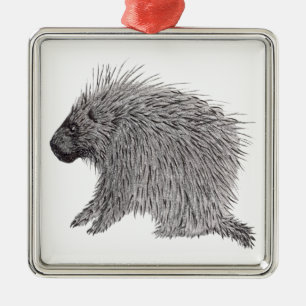 Ornement Carré Argenté Porcupine
