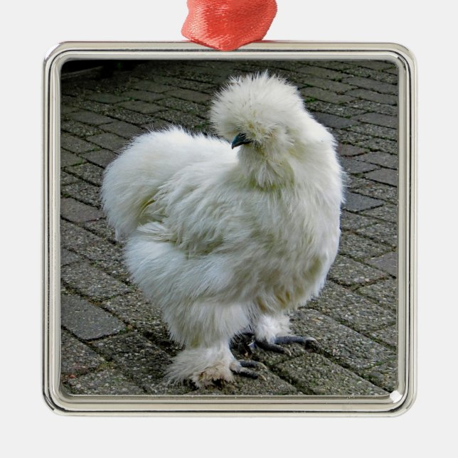 Ornement Carré Argenté Poulet blanc Silkie Photo (Devant)