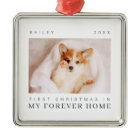 Premier Noël de l'animal de compagnie dans Forever