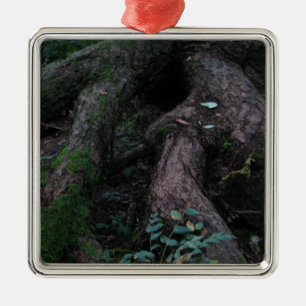 Ornement Carré Argenté Racines antiques