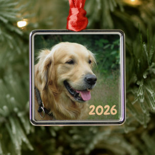 Ornement Carré Argenté Retriever doré