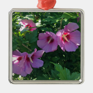 Ornement Carré Argenté Rose De Sharon Ornament