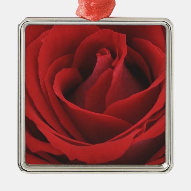 Ornement Carré Argenté Rose rouge de floraison (Devant)