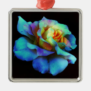 Ornement Carré Argenté Rose teint Cravate turquoise