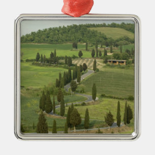 Ornement Carré Argenté Route de Pienza à Montepulciano