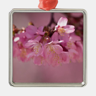 Ornement Carré Argenté Sakura Cherry Blossoms Delicate Pink Bouquet