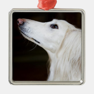 Ornement Carré Argenté Saluki recherchant