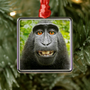 Ornement Carré Argenté Selfie singe