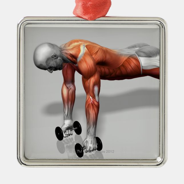 Ornement Carré Argenté Setanta soulèvent (Devant)