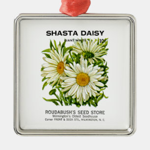Ornement Carré Argenté Shasta Daisy Vintage semis