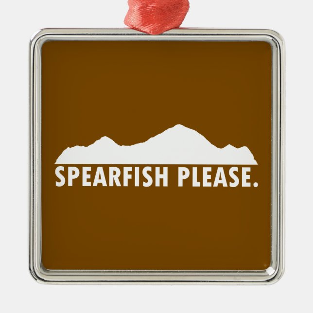 Ornement Carré Argenté Spearfish South Dakota Please (Devant)