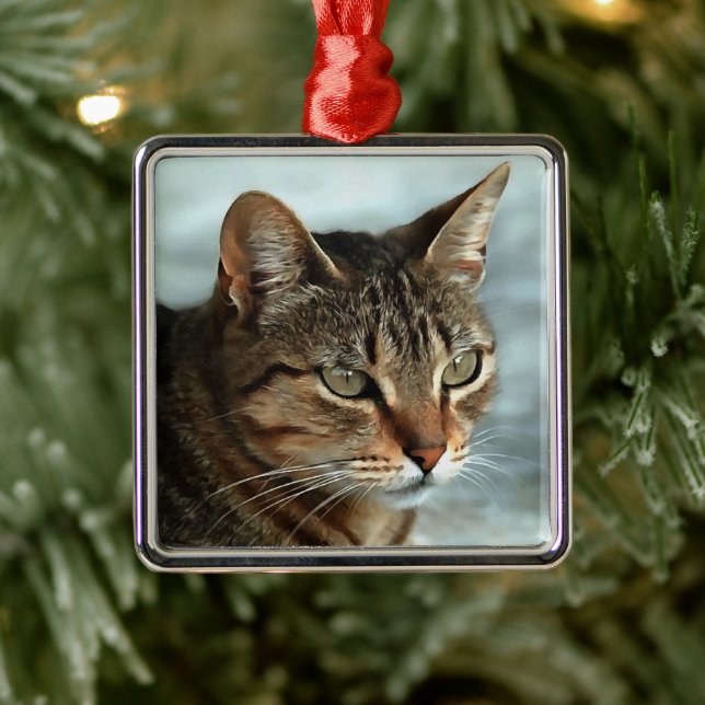 Ornement Carré Argenté Tabby Cat étonnant FermerPortrait Artistique (Arbre)