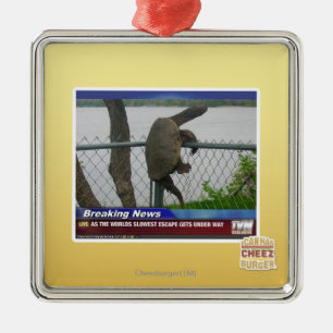 Ornement Carré Argenté Tortue d'Excaping