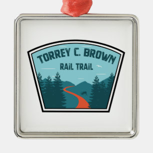 Ornement Carré Argenté Trail Brown Torrey C. Maryland