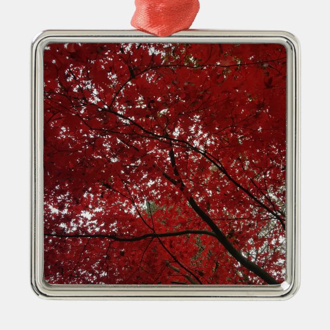 Ornement Carré Argenté Tree Fall Season Red Brown Autumn Leaves (Devant)