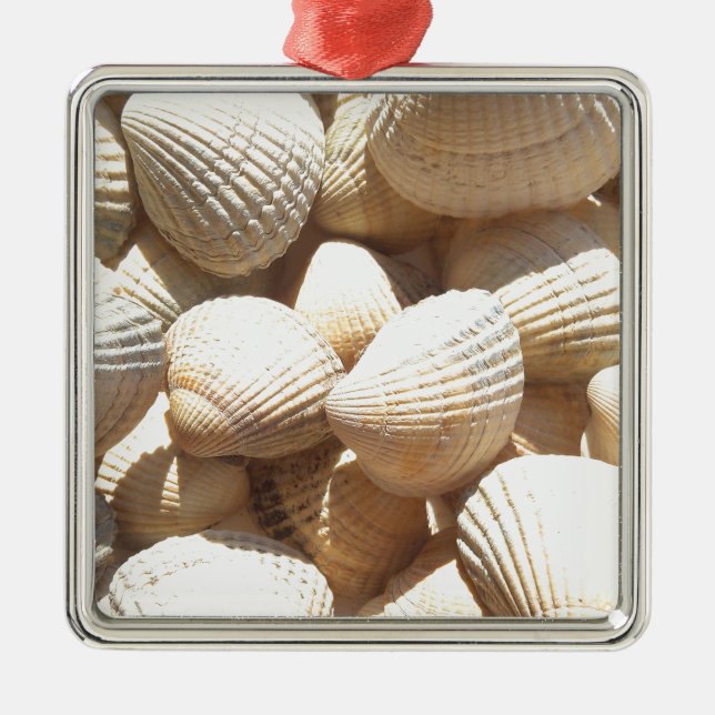 Ornement Carré Argenté Tropical Sunny Sea Shells (Devant)