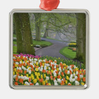 Tulipes et route, Jardins de Keukenhof, Lisse,