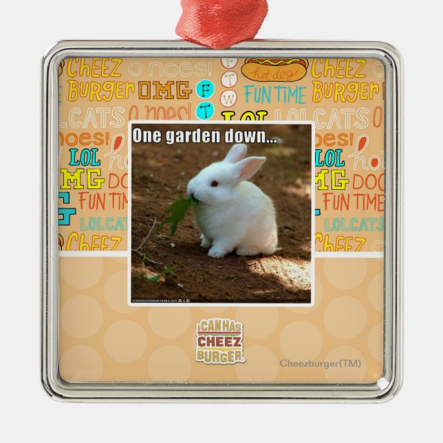 Ornement Carré Argenté Un jardin Down� (Devant)