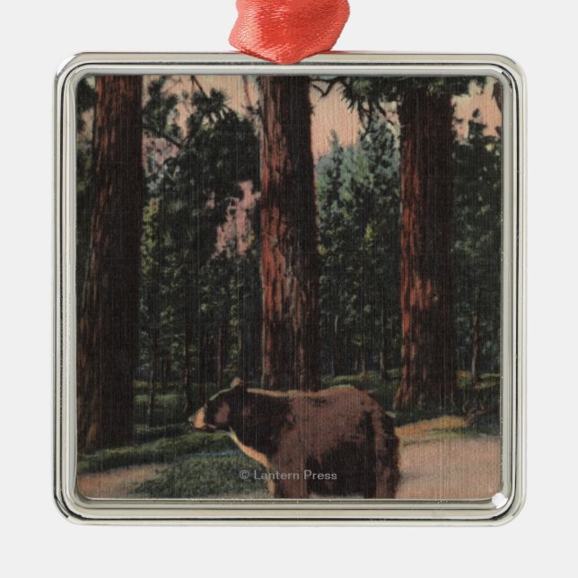 Ornement Carré Argenté Un ours Brown dans les bois (Devant)