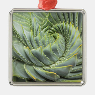 Ornement Carré Argenté Un Succulent vert et blanc