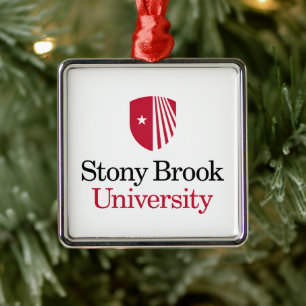 Ornement Carré Argenté Université Stony Brook Mot-symbole