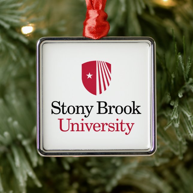 Ornement Carré Argenté Université Stony Brook | Mot-symbole (Arbre)