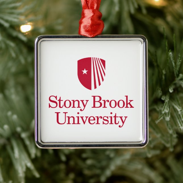 Ornement Carré Argenté Université Stony Brook | Mot-symbole (Arbre)