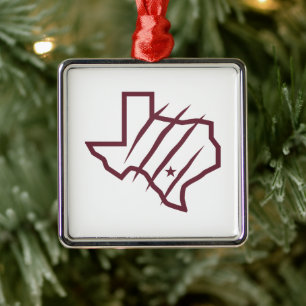 Ornement Carré Argenté Université Texas A&M de San Antonio   Logo d'état