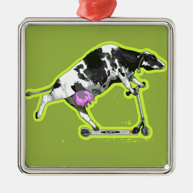 Ornement Carré Argenté Vache montant un scooter (Devant)