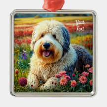 Vieux chien de berger anglais