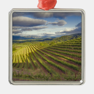 Ornement Carré Argenté Vignoble. Napa Valley. Napa. Comté de Napa,
