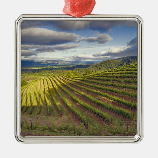 Ornement Carré Argenté Vignoble. Napa Valley. Napa. Comté de Napa, (Devant)
