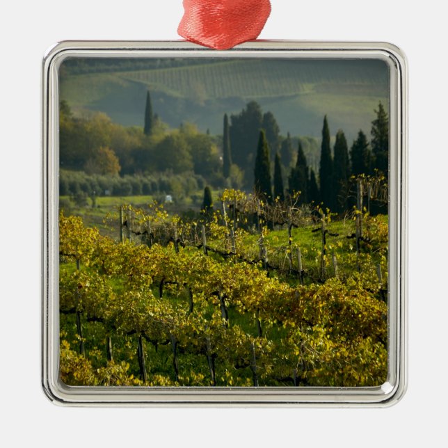 Ornement Carré Argenté Vignoble, Toscane, Italie (Devant)