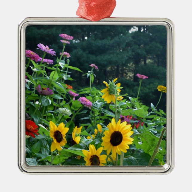 Ornement Carré Argenté Vue jardin- tournesol, marguerites, cosmos (Devant)