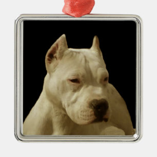 Ornement Carré Argenté White Pitbull Terrier