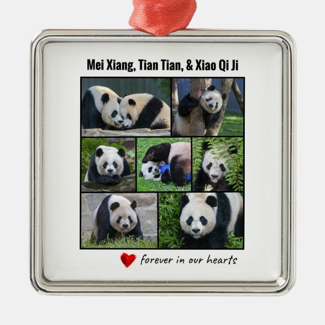Ornement Carré Argenté Zoo National Pandas "Forever in Our Hearts" (Devant)