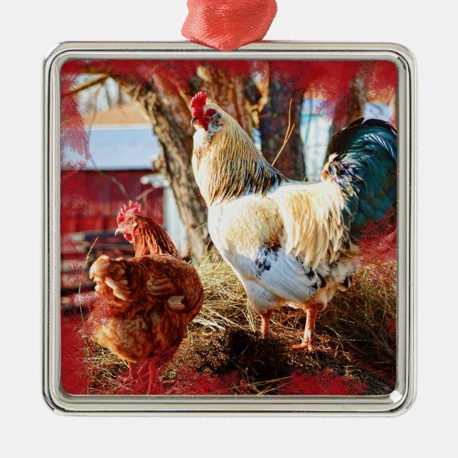 Ornement carré de prime avec la poule et le coq (Devant)