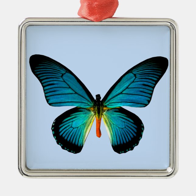 Ornement Carré papillon bleu (Devant)