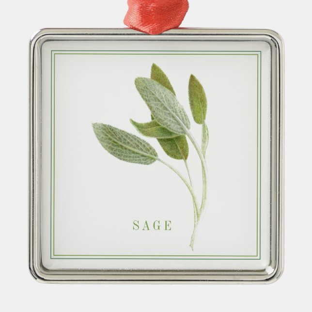 ORNEMENT Carré Premium FRASH SAGE (Devant)