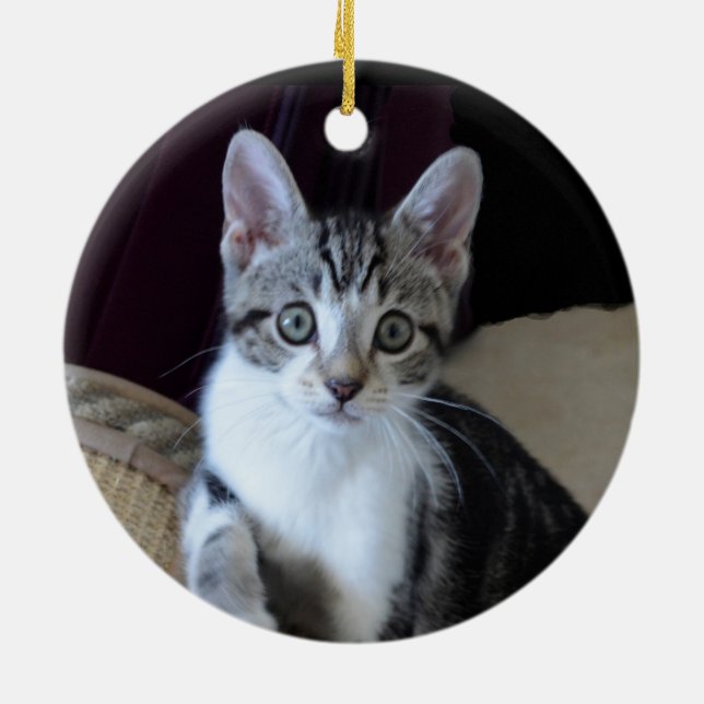 Ornement chaton tabby gris/blanc (Dos)