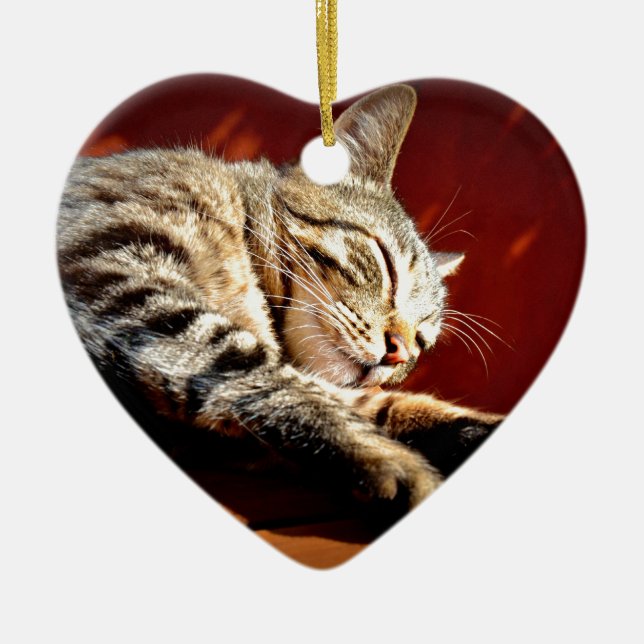 Ornement Cœur En Céramique Beau chat tigré (Devant)