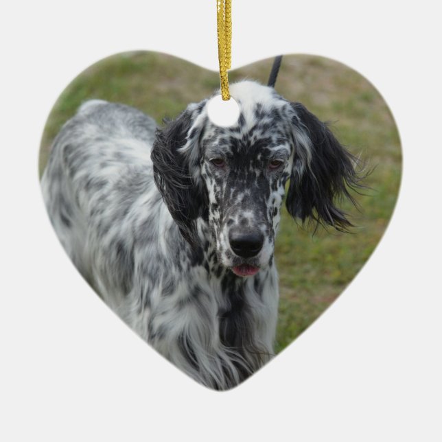 Ornement Cœur En Céramique Beau chien de poseur anglais (Devant)