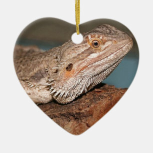 Ornement Cœur En Céramique Beau dragon barbu