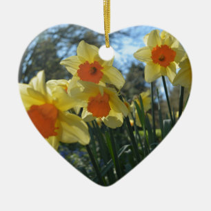 Ornement Cœur En Céramique Beautiful spring yellow,orange daffodil flowers