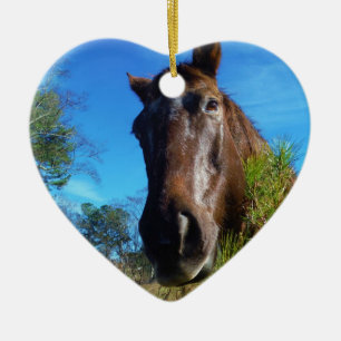 Ornement Cœur En Céramique Brown et crème Couleur Cheval bleu ciel