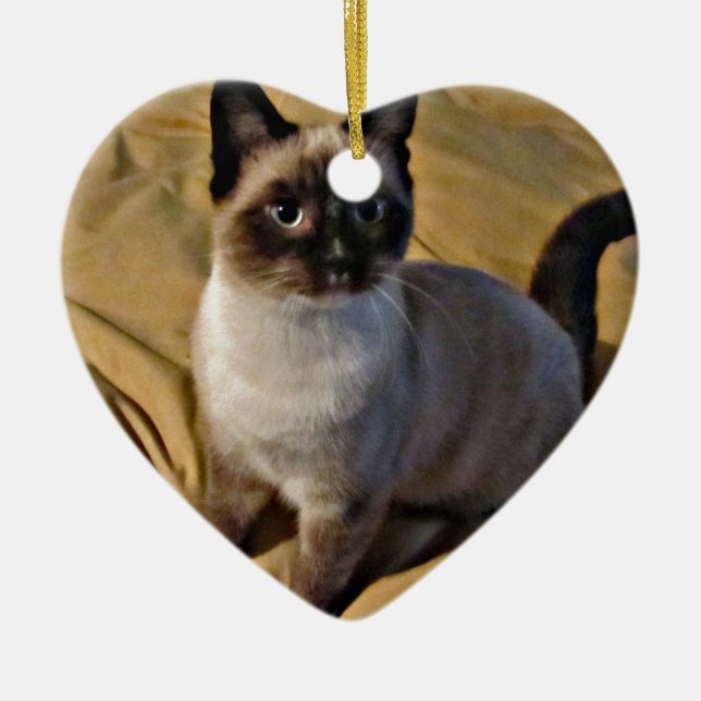 Ornement Cœur En Céramique Cadeaux de chaton de raquette (Devant)