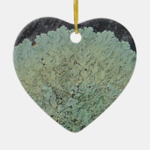 Ornement Cœur En Céramique Cercle Lichen Mossy
