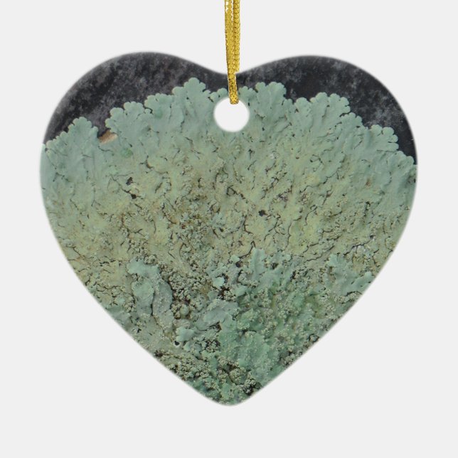 Ornement Cœur En Céramique Cercle Lichen Mossy (Devant)