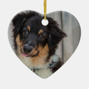 Ornement Cœur En Céramique Chien berger australien